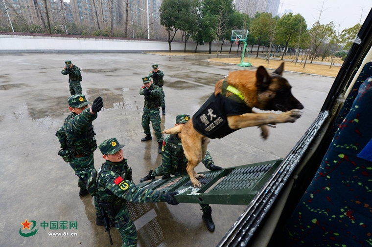 奥尔夫音乐公开课教案，拔萝卜活动设计